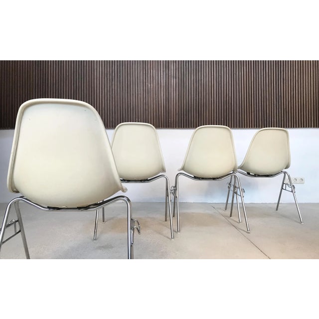 DSS Chairs by Charles & Ray Eames for Herman Miller, 1950s, Set of 4 For Sale - Image 12 of 18
