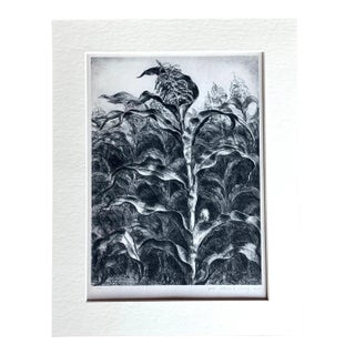 Vintage 1939 Print in 11x14 Mat, Ready to Frame: John Steuart Curry, "Corn", EUC For Sale