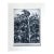 Vintage 1939 Print in 11x14 Mat, Ready to Frame: John Steuart Curry, "Corn", EUC For Sale