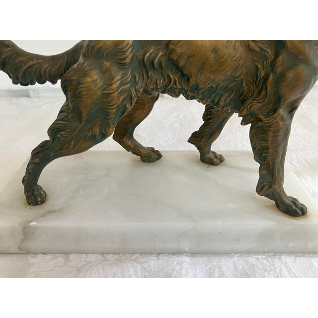 Early 1900s English Golden Retriever Bronze Dog Figurine Mounted on Italian Marble Plinth For Sale - Image 4 of 12