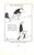 "Pictorial Golf: Practical Instruction for the Beginner, and Valuable Hints for the Star" 1928 Martin, h.b. For Sale - Image 12 of 12