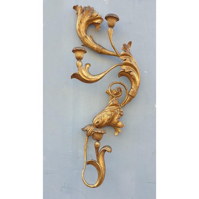 Large 19th Century Sculpted Gilded Wood Wall Light, Tuscany, Italy For Sale - Image 14 of 14