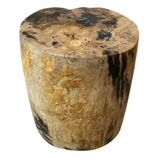 Andrianna Shamaris Impressive Tiger Toned High Quality Petrified Wood Side Table For Sale