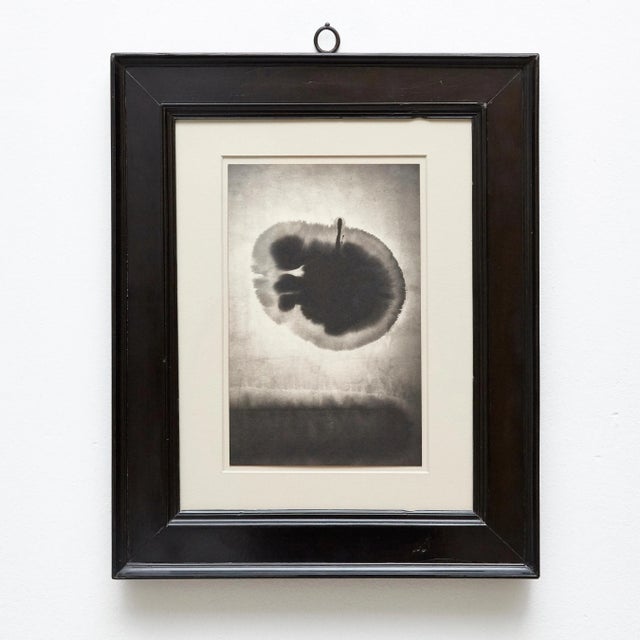 Mouth of Krishna #110 Poster by Albarran & Cabrera, 2013 For Sale - Image 9 of 11