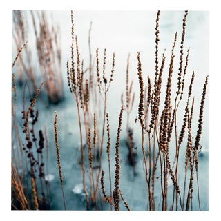 Paul Cooklin, Debenham Lake, Suffolk, Edition of 50 For Sale