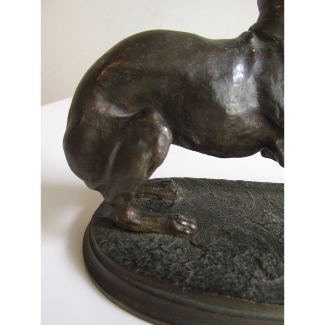 Antique French Bronze Depicting a Standing Whippet For Sale In New York - Image 6 of 11