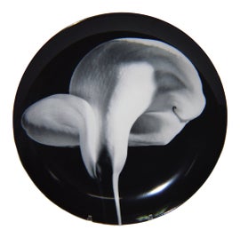 Example of Swid Powell Wall Accents