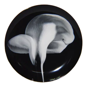 1984 Swid Powell Robert Mapplethorpe Calla Lily Porcelain Plate