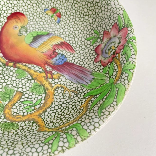 Spode Antique Copeland Late Spode Salad Bowls a Pair Devonia Cockatoo Bird & Butterfly Botanical For Sale - Image 4 of 9