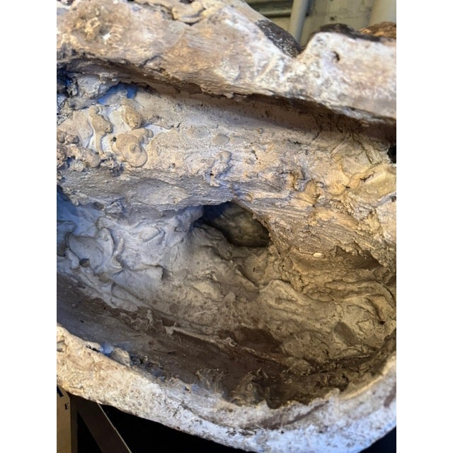 Antique 19th Century Plaster Cast French Half Bust Figural Retail Shop Sign For Sale - Image 12 of 12