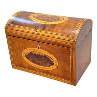 18th Century George III Harewood and Black Thorn Tea Caddy, 1790 For Sale
