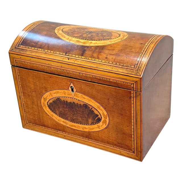 18th Century George III Harewood and Black Thorn Tea Caddy, 1790 For Sale