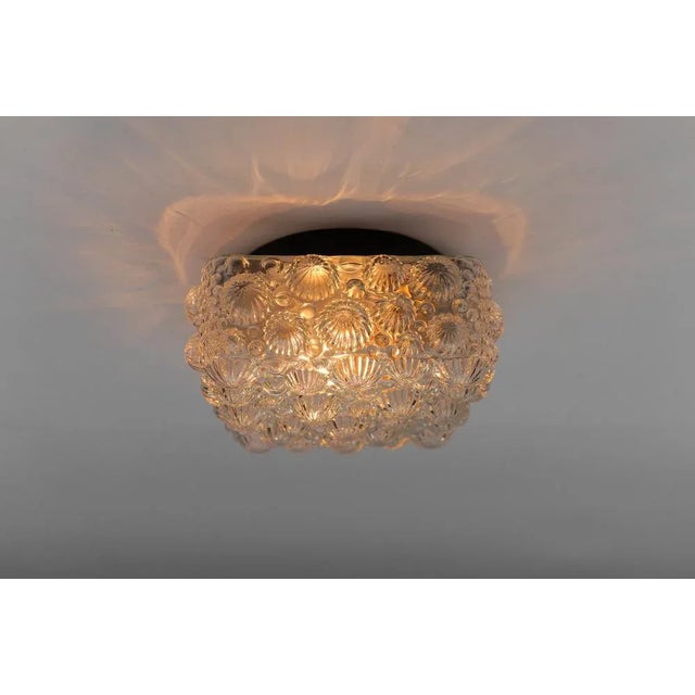 Mid-Century Modern Square 3d Fossil Shell-Shaped Flush Mount, 1960s For Sale - Image 6 of 9