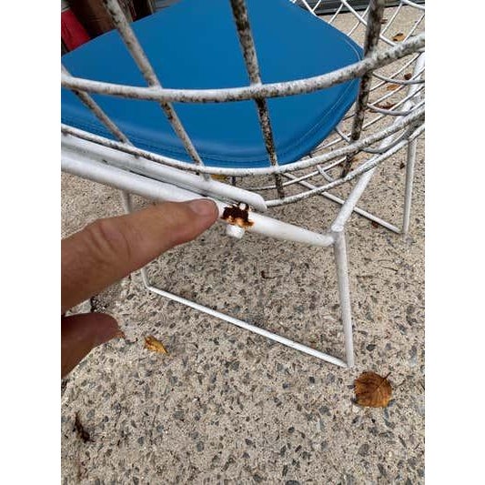 Mid-Century Modern Bertoia for Knoll Small Diamond Chairs, Mid-Century Modern, USA For Sale - Image 3 of 10