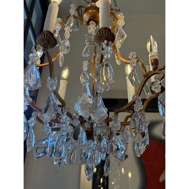 2020s In the Style of Dennis & Leen Golden Crystal Chandelier For Sale - Image 5 of 12
