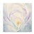 Atelier Aria Lumae Peony Symphony Aquarelle Fine Art Cotton Rag Panels Set of 3 For Sale - Image 11 of 18