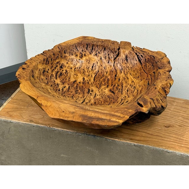 Live Edge Rustic Burl Wood Bowl For Sale - Image 11 of 12