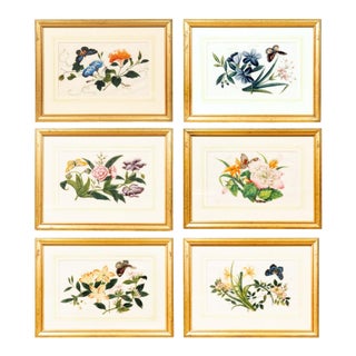 Set of Six Chinese Export Framed Pith Paper Watercolor Botanicals For Sale