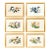 Set of Six Chinese Export Framed Pith Paper Watercolor Botanicals For Sale
