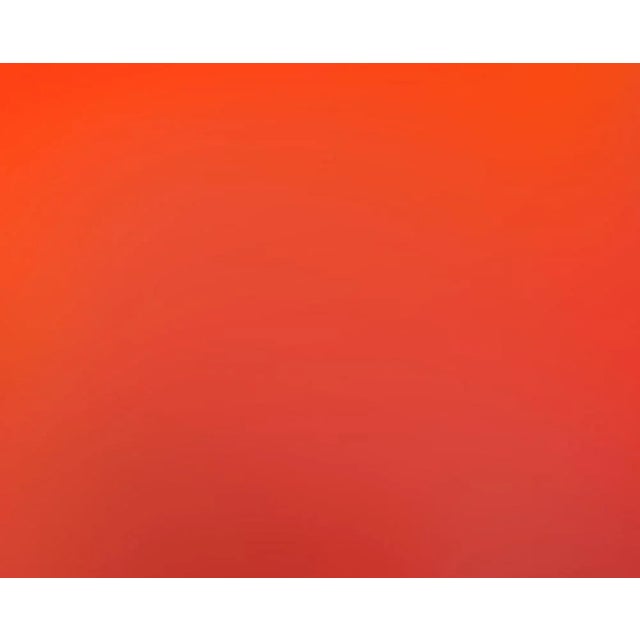 Abstract Paul Snell "Bleed # 202025", Photograph For Sale - Image 3 of 6