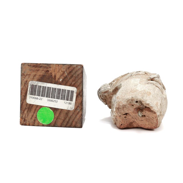 Tan Ancient Gandharan Stucco on Terracotta Figural Buddha/Bodhisattva Bust For Sale - Image 8 of 17