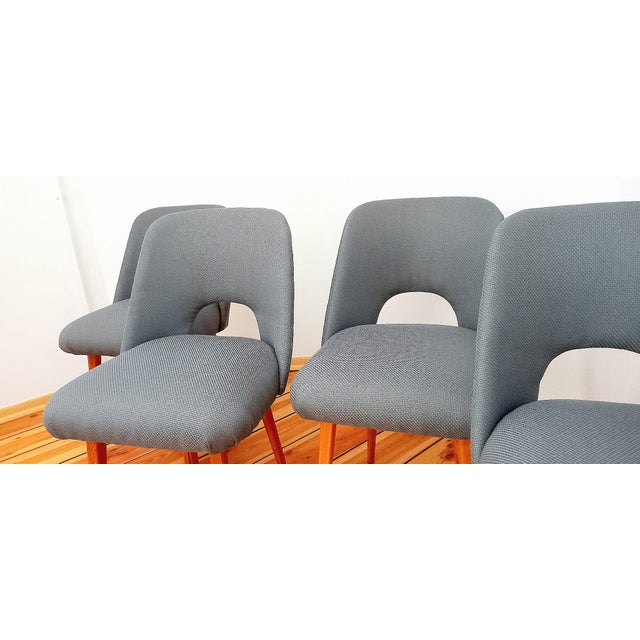Czechoslovakian Dining Chairs attributed to O. Haerdtl for Ton, 1960s, Set of 4 For Sale - Image 8 of 18
