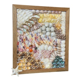 Custom Framed Coastal Seashell Wall Art For Sale