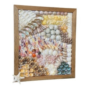 Custom Framed Coastal Seashell Wall Art