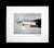 Hans Richter 1972 Signed Etching, Limited Edition 70/99, Framed For Sale - Image 12 of 12