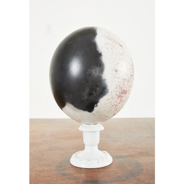 Set of Three Painted Dyed Ostrich Egg Specimens For Sale - Image 4 of 13