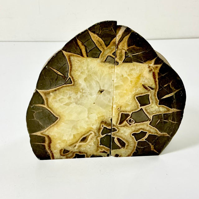 Mid-Century Modern Mid-Century Abstract Geometric Boho Chic Septarian Stone Bookends - A Pair For Sale - Image 3 of 16