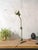 Model 122 Swing Arm Lamp from Hala Zeist, 1940s For Sale - Image 16 of 18