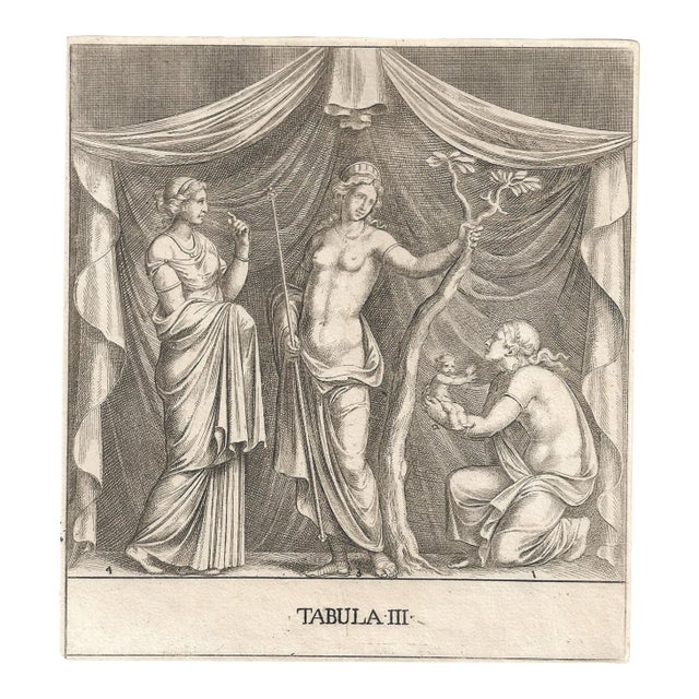 18th Century Birth of Adonis Mythological Engraving For Sale