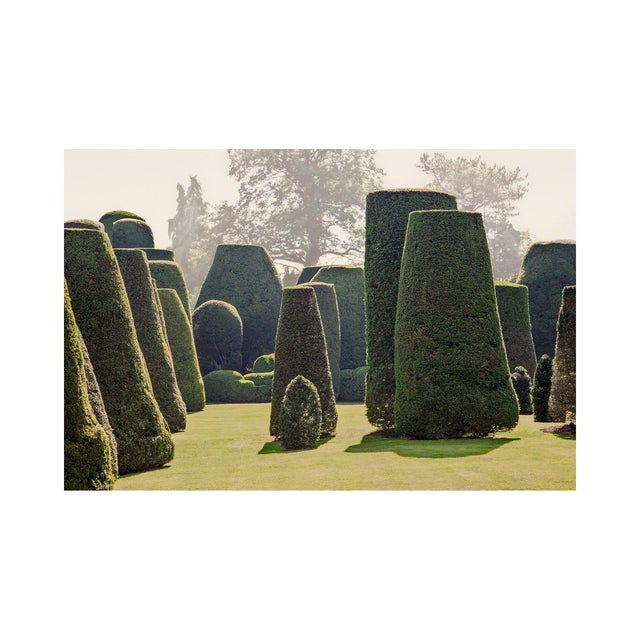 Another photograph from the "Le Jardin" Series. A beautiful topiary garden in the Loire region, France. Limited Edition...