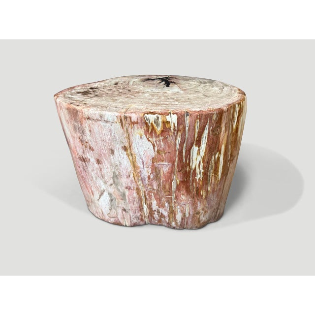 Impressive rare coral toned high quality petrified wood side table. We added clear resin on the top to preserve the...