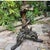 19th Century Venetian Gilded, Carved Wood Grotto Style Table