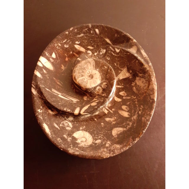 Vintage Polished Black Orthoceras and Ammonite Fossil Divided Bowl For Sale In Dallas - Image 6 of 7