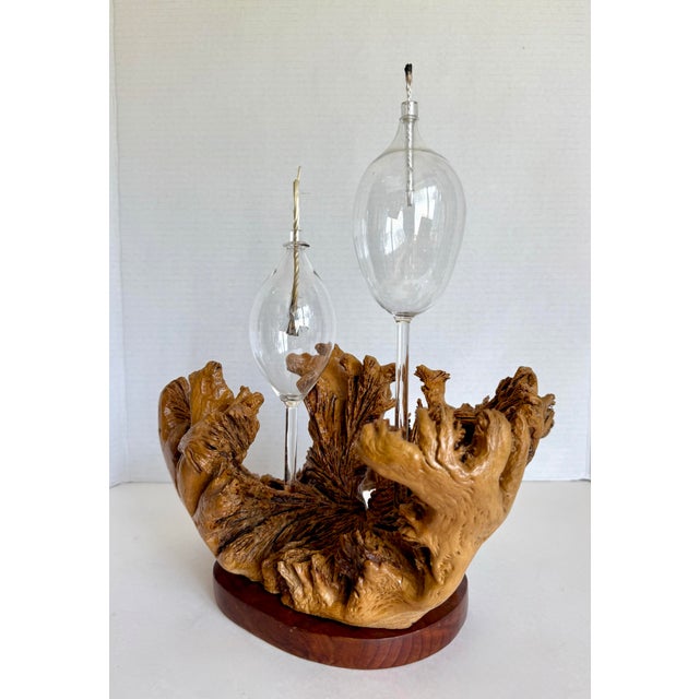 1970s Organic Modern Burl Wood Sculptural Double Oil Lamp Centerpiece For Sale In Los Angeles - Image 6 of 11