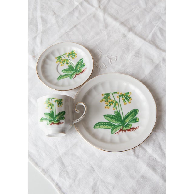 Coffee and Dessert from Tettau, 1976, Set of 28 For Sale - Image 6 of 18