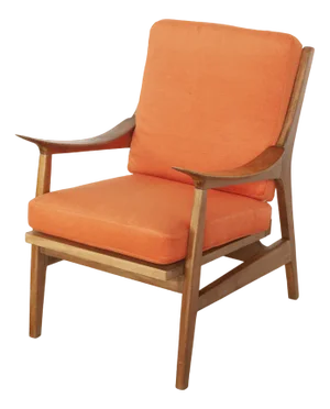 Danish Nordic School Armchair in the Style of Finn Juhl, 1960s