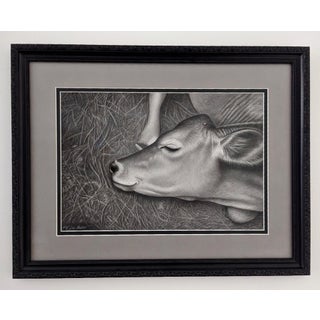 Sleepyhead by Tammy Liu-Haller | Graphite on Paper of a sleeping cow on grass For Sale