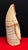 Mid-Century Modern Clizia, Dama Limited Edition 10/100, 1960s, Terracotta For Sale - Image 3 of 10