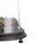Glass Dome, 19th Century For Sale - Image 5 of 6