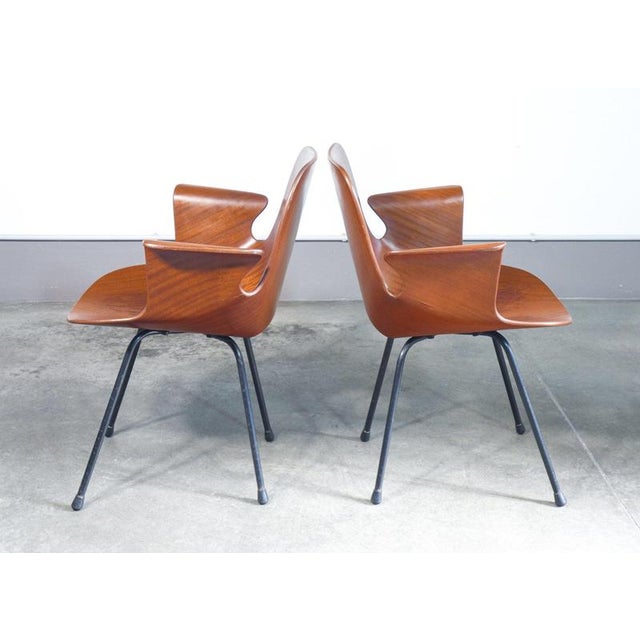 Medea Chairs by V. Nobili for Tagliabue, Set of 2 For Sale - Image 5 of 18