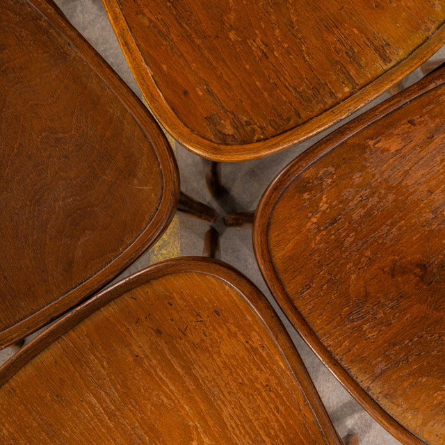 1950s Vintage Bentwood Dining Chairs, 1950s, Set of 6 For Sale - Image 5 of 8