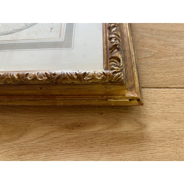 Transitional Dennis & Leen Botanical Print With Gilded Frame – DL-Art 42 For Sale - Image 3 of 14