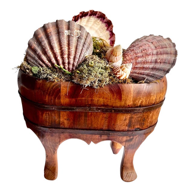 display natural seashell collection while adding a relaxed, beachy vibe to any room. Natural Seashells are arranged to be...