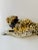 Tan Large 1970 California Pottery Leopard Cat Sculpture, Glazed Ceramic Hollywood Regency Icon For Sale - Image 8 of 13