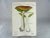 1970s Handpainted Mushroom Speciman Paintings on French Handmade Paper - Set of 3 For Sale - Image 10 of 13