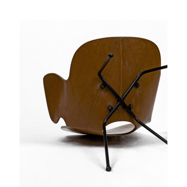 Wood Vintage Bentwood Medea Chair by Vittorio Nobili for Fratelli Tagliabue, Italy, 1950s For Sale - Image 7 of 10